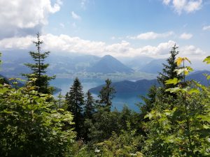 Wandern für Anfänger
