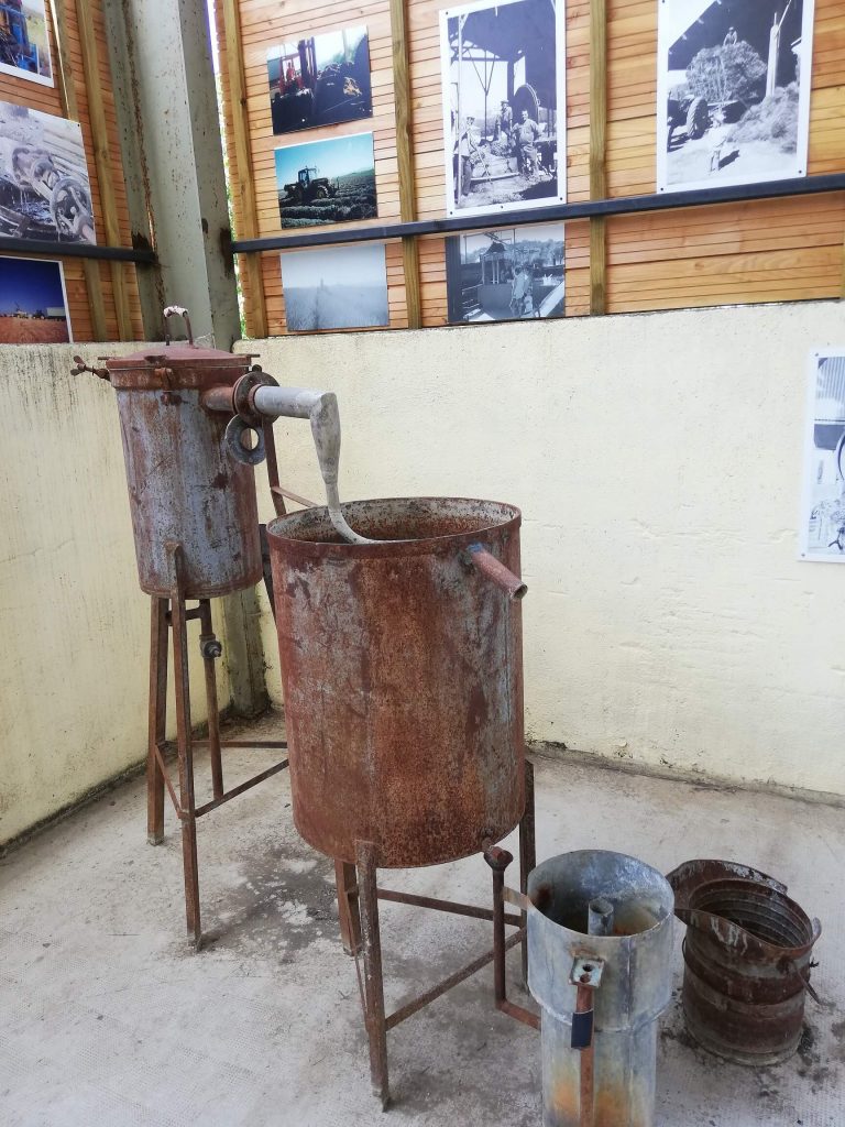 Lavendelmuseum Valensole