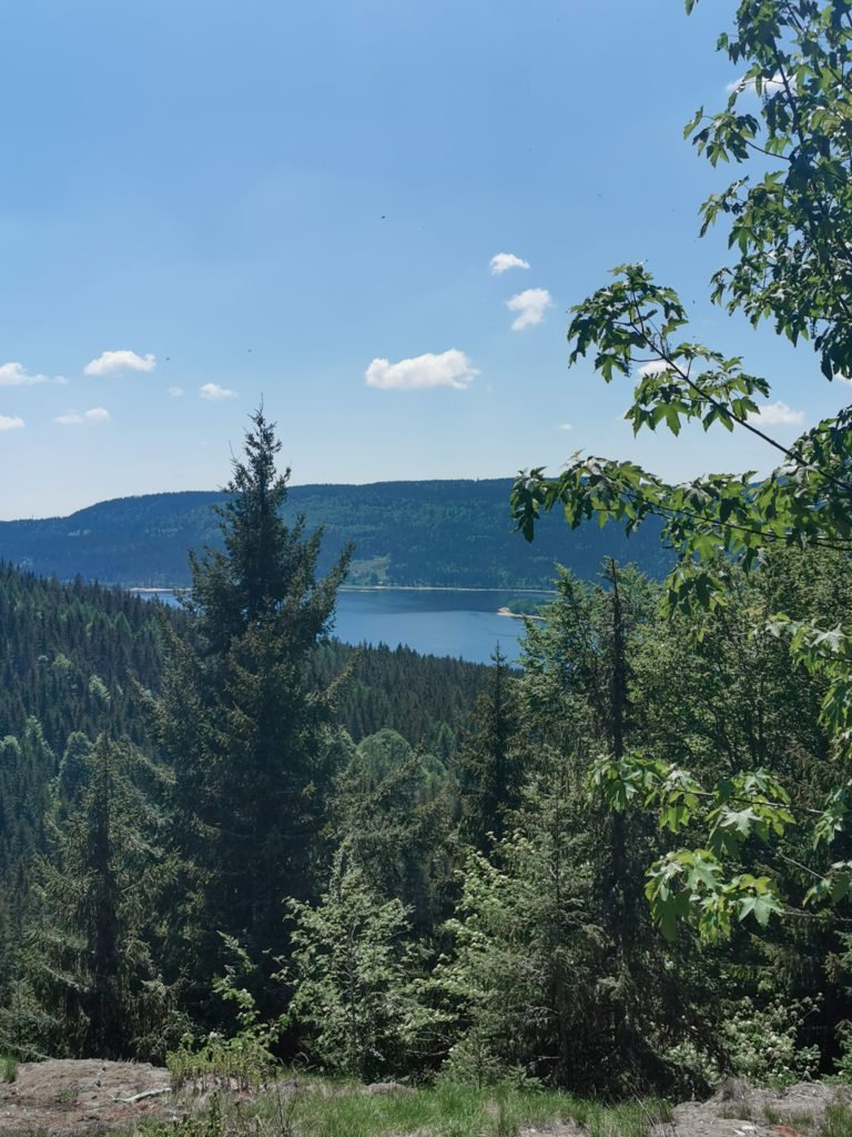 Wanderung am Schluchsee Bildstein