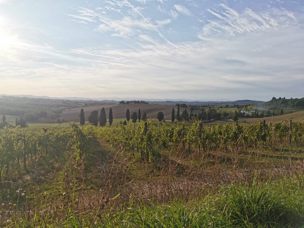 Val d Orcia Toskana Camping Italien